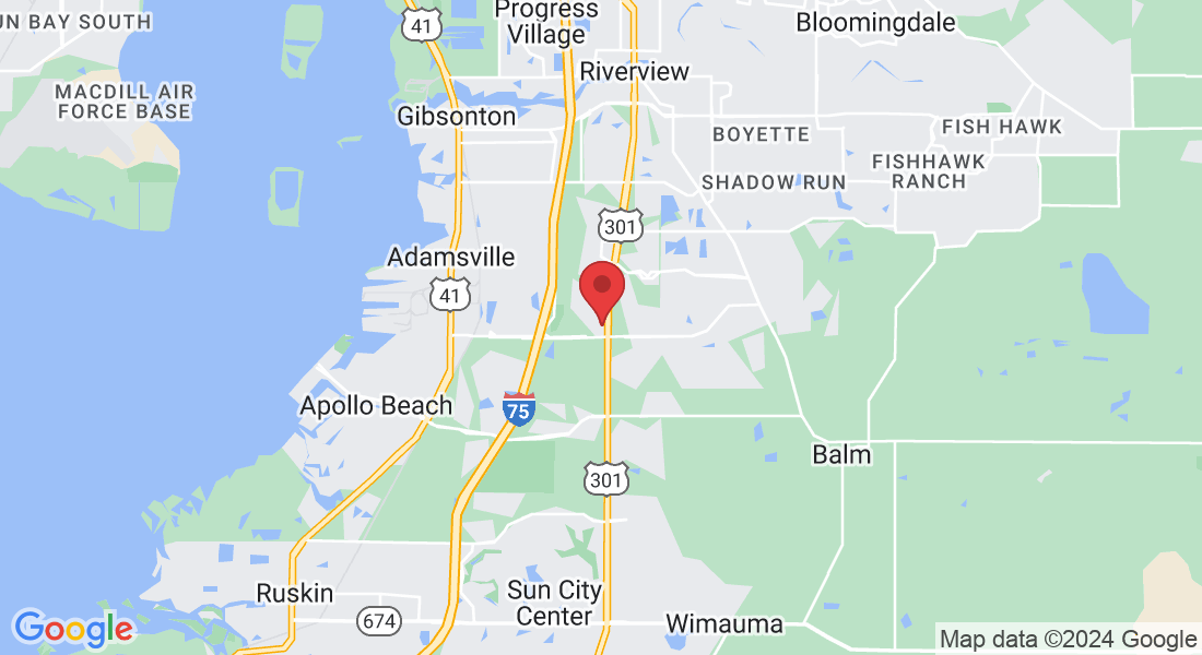 13039 Summerfield Square Dr, Riverview, FL 33578, USA