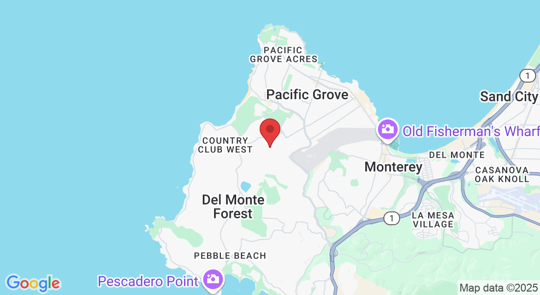 1229 David Ave, Pacific Grove, CA 93950, USA