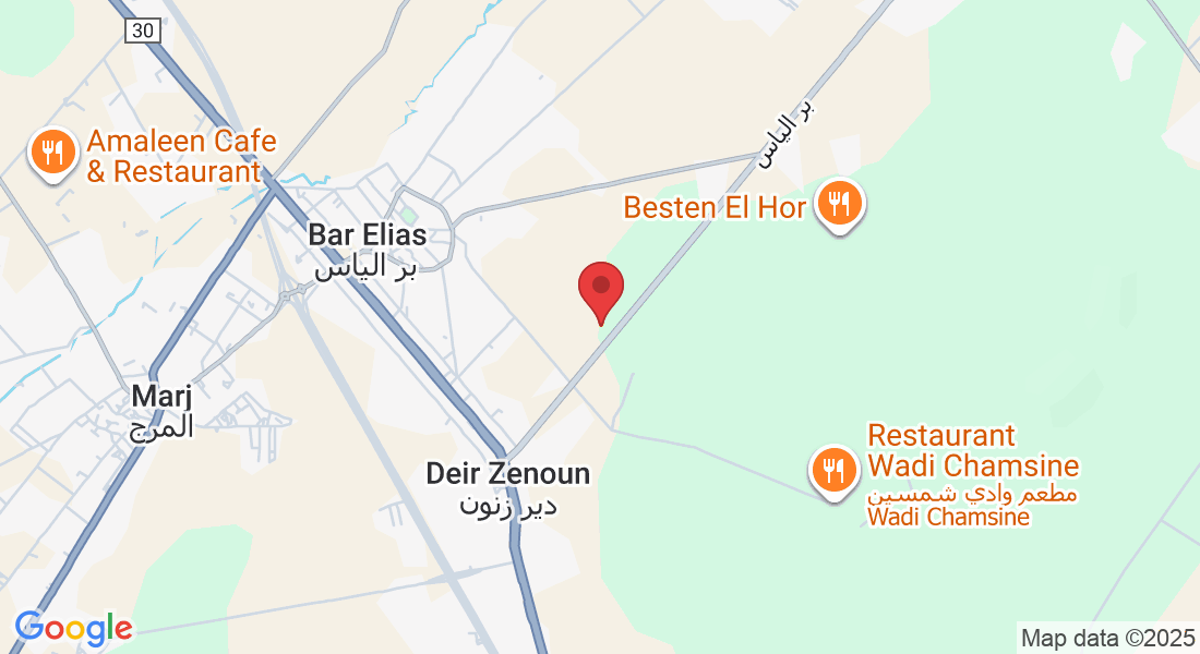 QW9C+64V, Bar Elias, Lebanon