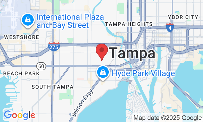 317 N Rome Ave, Tampa, FL 33606, USA