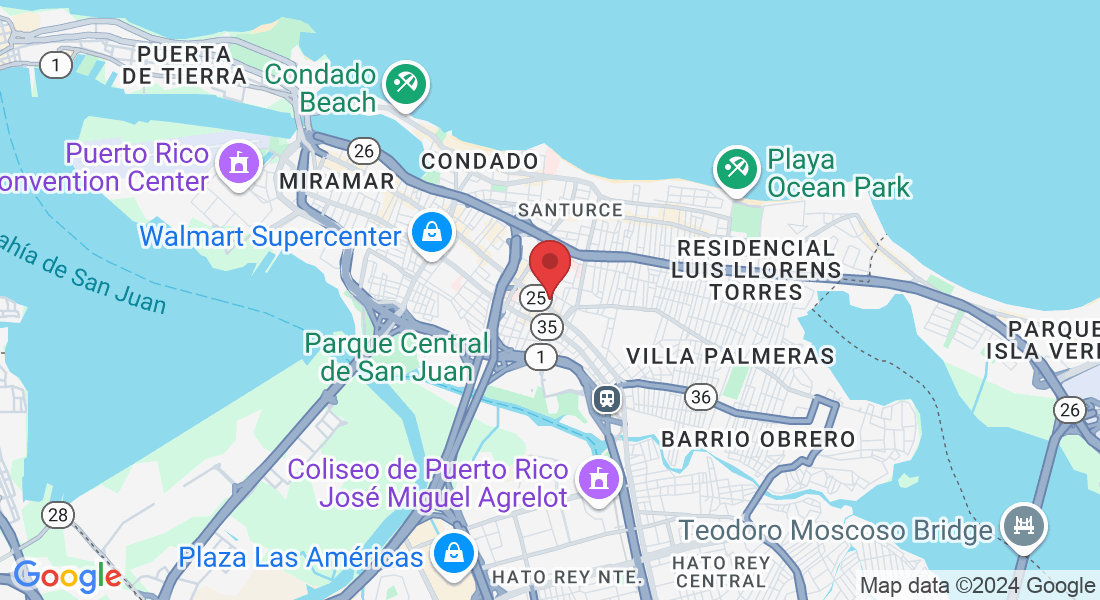 PR-25, San Juan, 00909, Puerto Rico