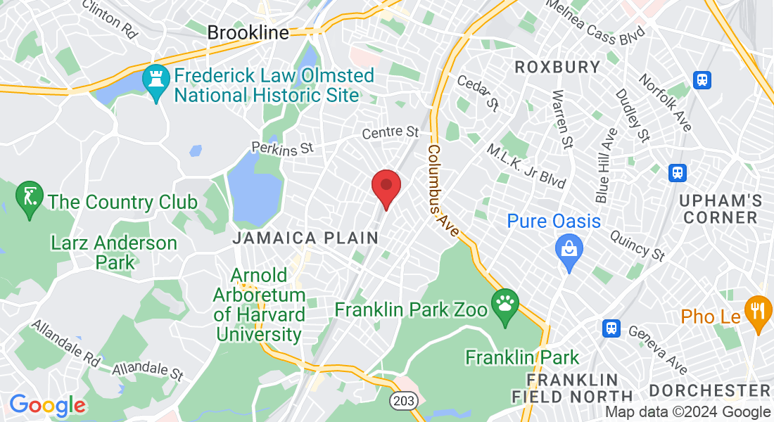 253 Amory St, Boston, MA 02130, USA