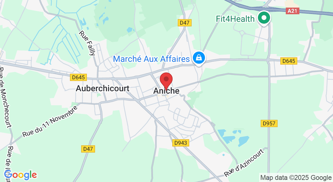 Aniche, Frankrijk