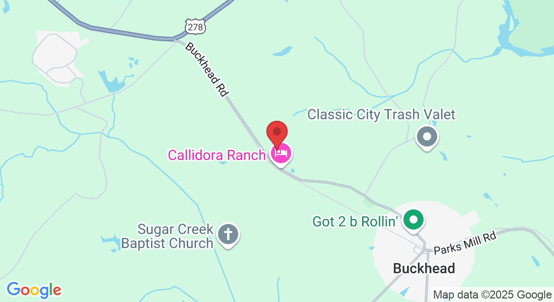 3850 Buckhead Rd, Madison, GA 30650, USA