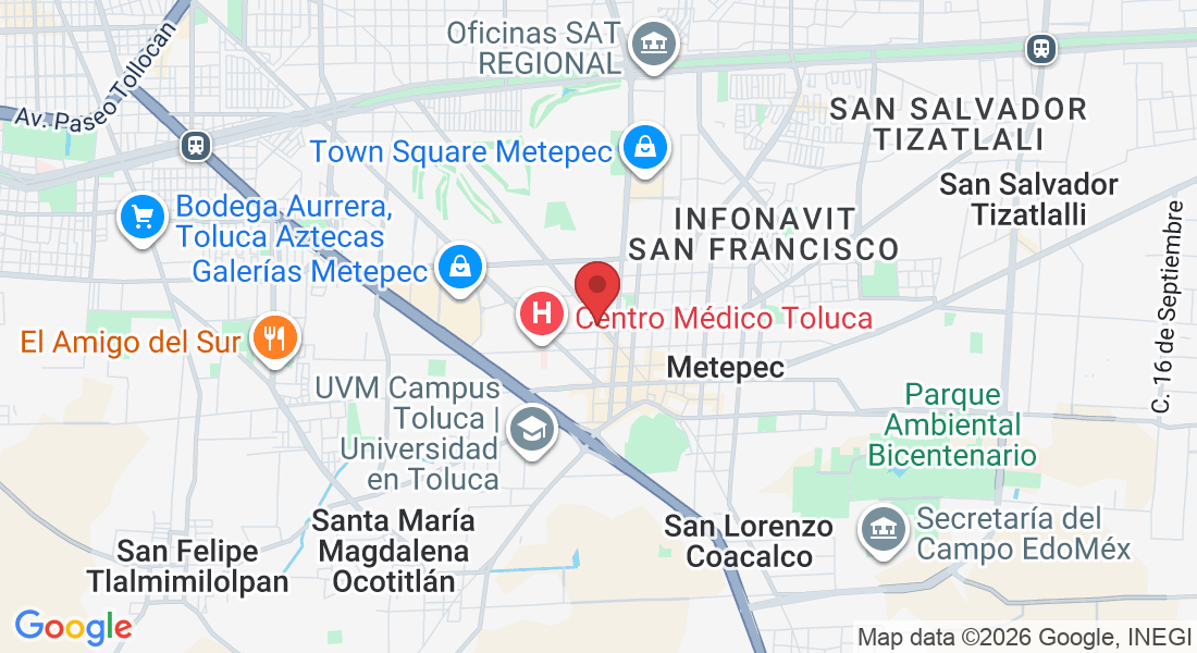 Calle Melchor Ocampo 417-531, San Mateo, 52140 Metepec, Méx., México