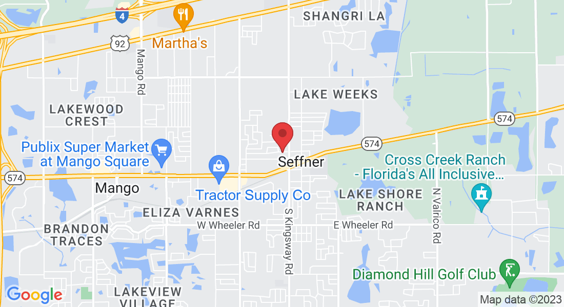110 Euclid Ave, Seffner, FL 33584, USA