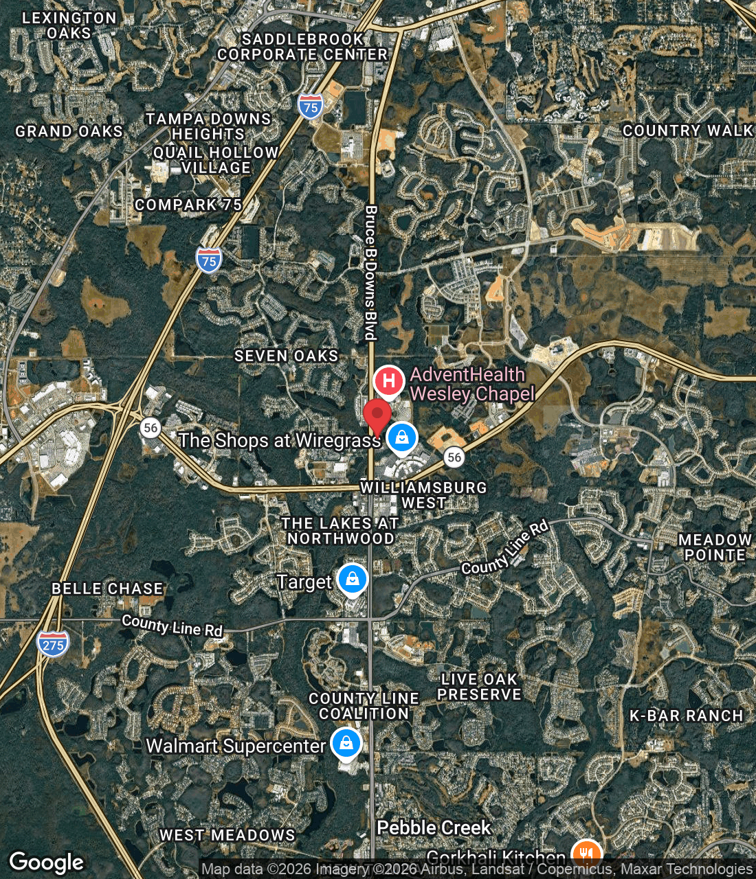 2370 Bruce B Downs Blvd, Wesley Chapel, FL 33544, USA