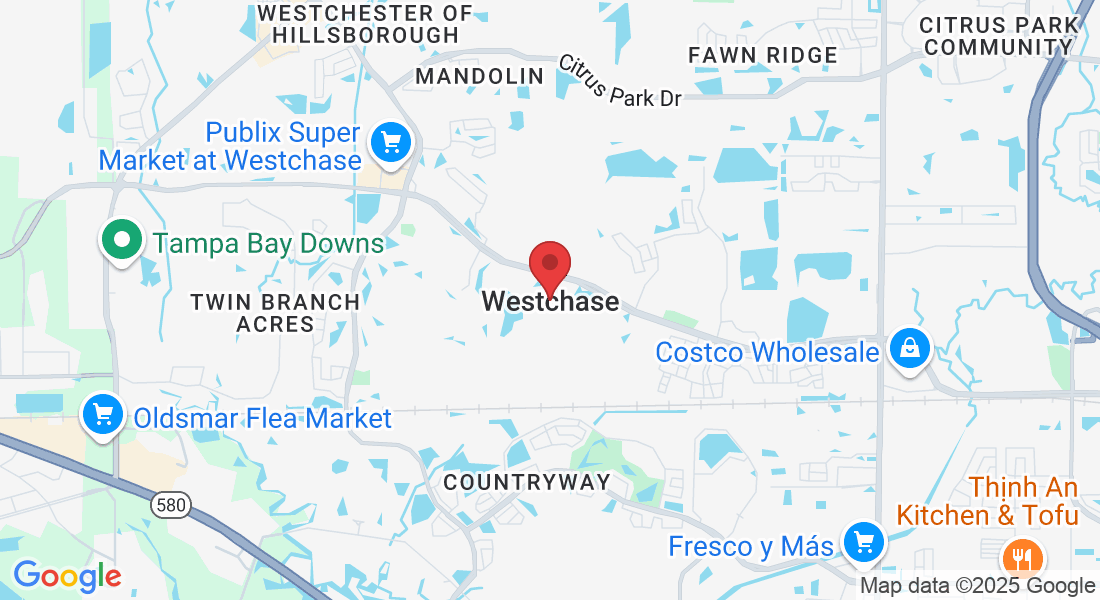 Westchase, FL 33626, USA