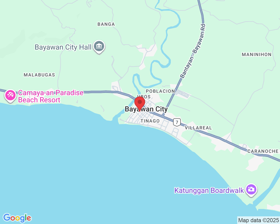 Mabini Street, Brgy. Boyco, Bayawan City, 6221 Negros Oriental, Philippines