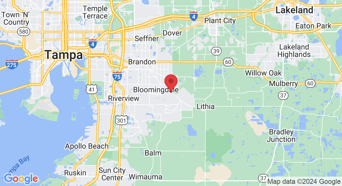 4341 Lynx Paw Trail, Valrico, FL 33596, USA