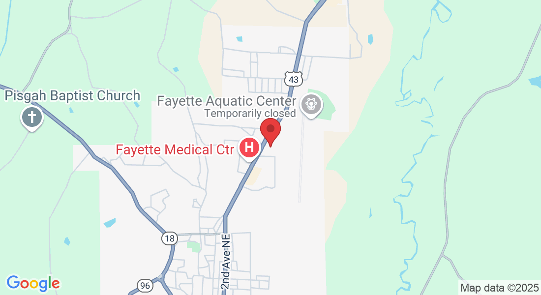 1806 Temple Ave N, Fayette, AL 35555, USA