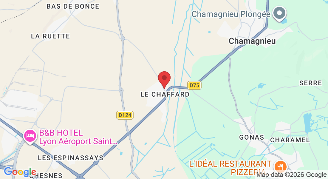 186 Rte de Billaudière, 38290 Satolas-et-Bonce, France