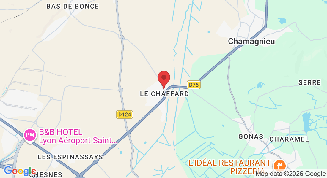 186 Rte de Billaudière, 38290 Satolas-et-Bonce, France