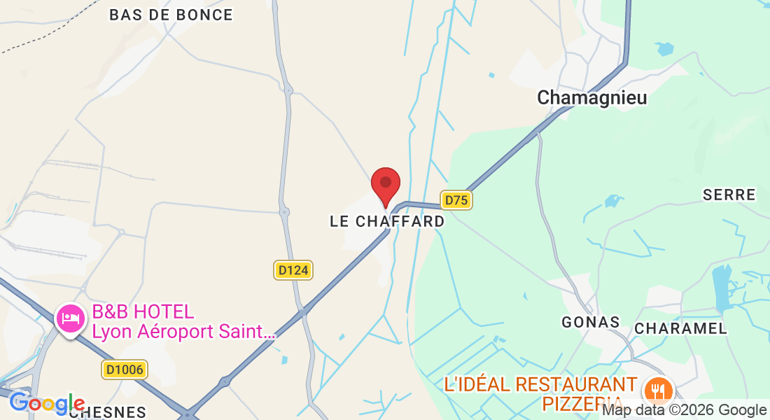 186 Rte de Billaudière, 38290 Satolas-et-Bonce, France