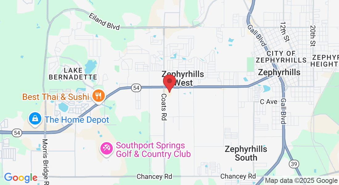 36600 FL-54, Zephyrhills, FL 33541, USA