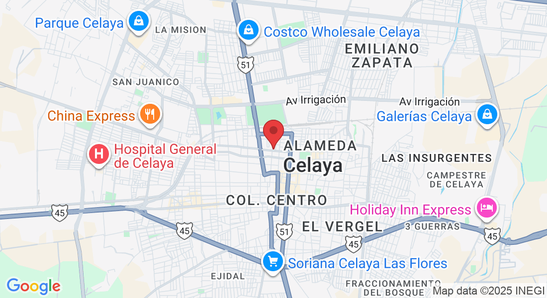 Hermanos Aldama 511, San Antonio, 38048 Celaya, Gto., México