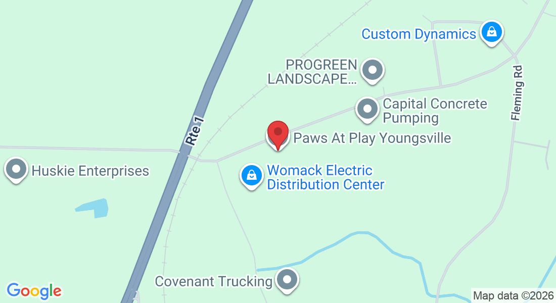 841 Bert Winston Rd, Youngsville, NC 27596, USA