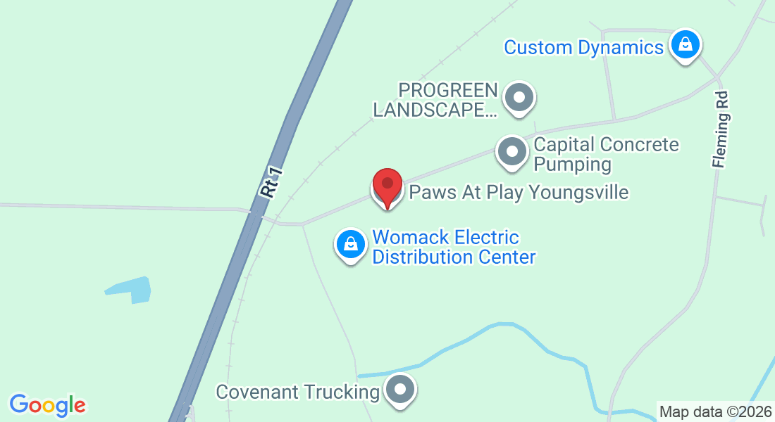 841 Bert Winston Rd, Youngsville, NC 27596, USA