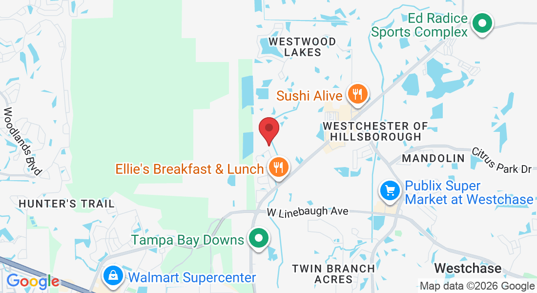 14603 McCormick Dr, Tampa, FL 33626, USA