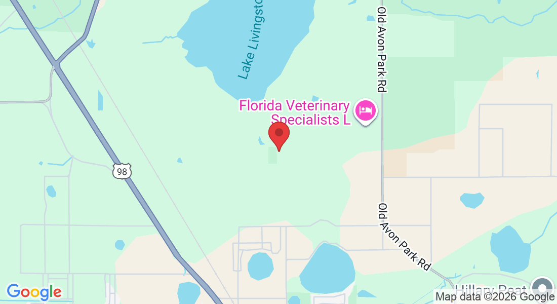 Florida, USA