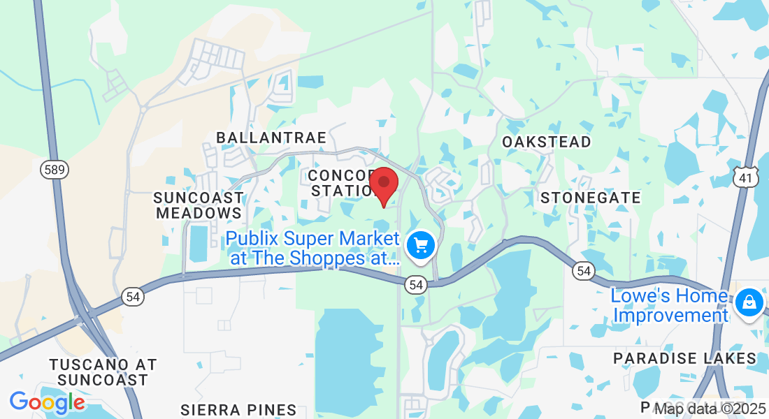 3023 Sunlake Blvd, Land O' Lakes, FL 34638, USA