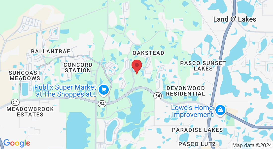 3038 Oakstead Blvd, Land O' Lakes, FL 34638, USA