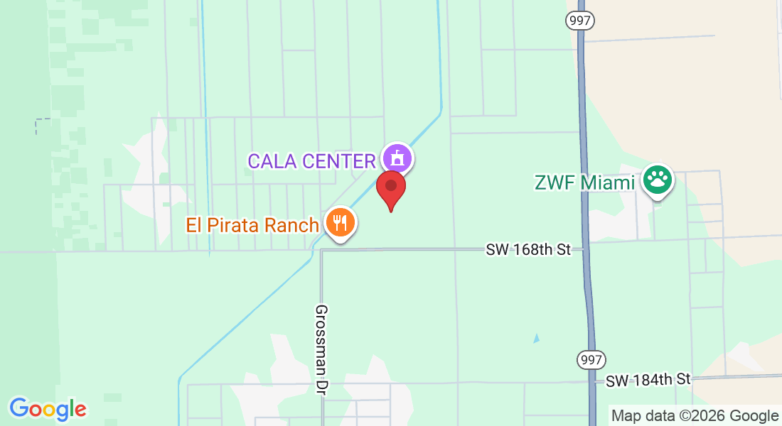 19011 SW 164th Rd, Miami, FL 33187, EE. UU.