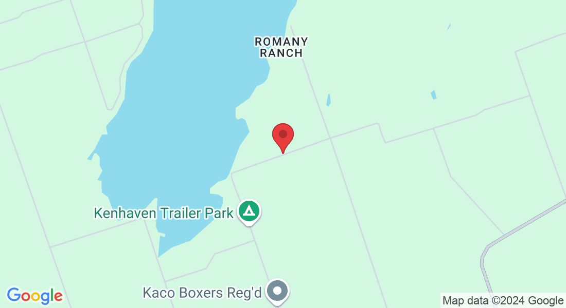69 Whitetail Rd, Cameron, ON K0M 1G0, Canada