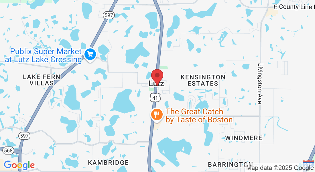 19001 US-41, Lutz, FL 33549, USA