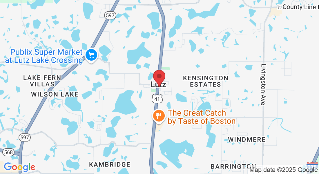 19001 US-41, Lutz, FL 33549, USA