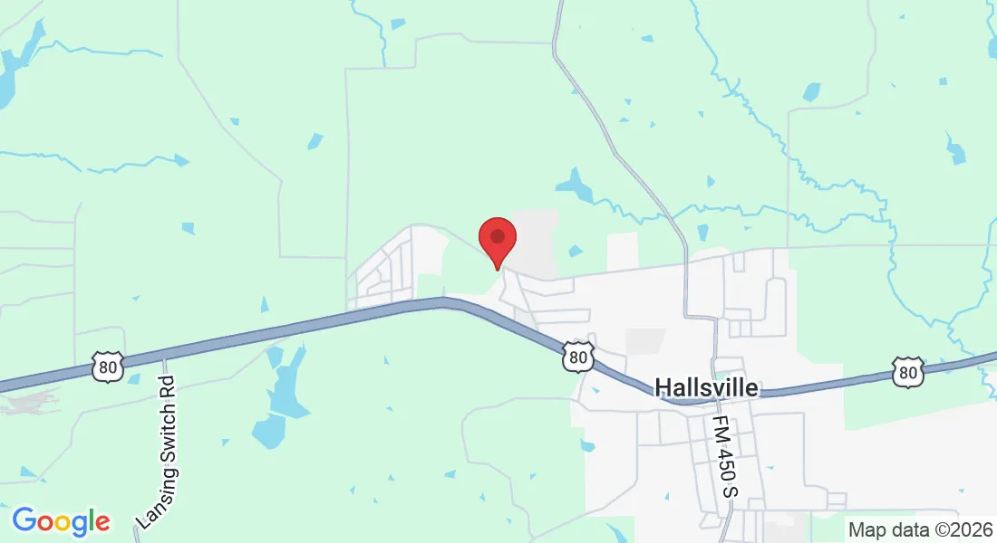 983 Cal Young Rd, Hallsville, TX 75650, USA