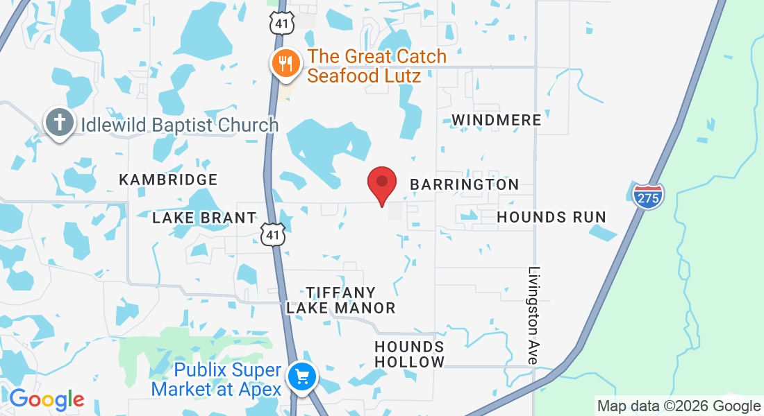 919 Debuel Rd, Lutz, FL 33549, USA