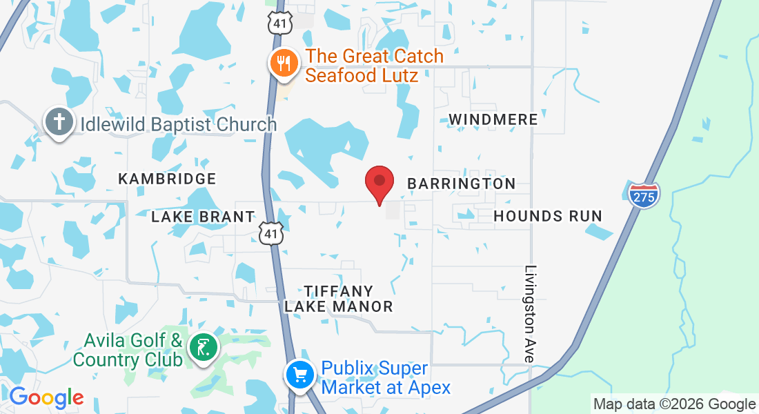 919 Debuel Rd, Lutz, FL 33549, USA
