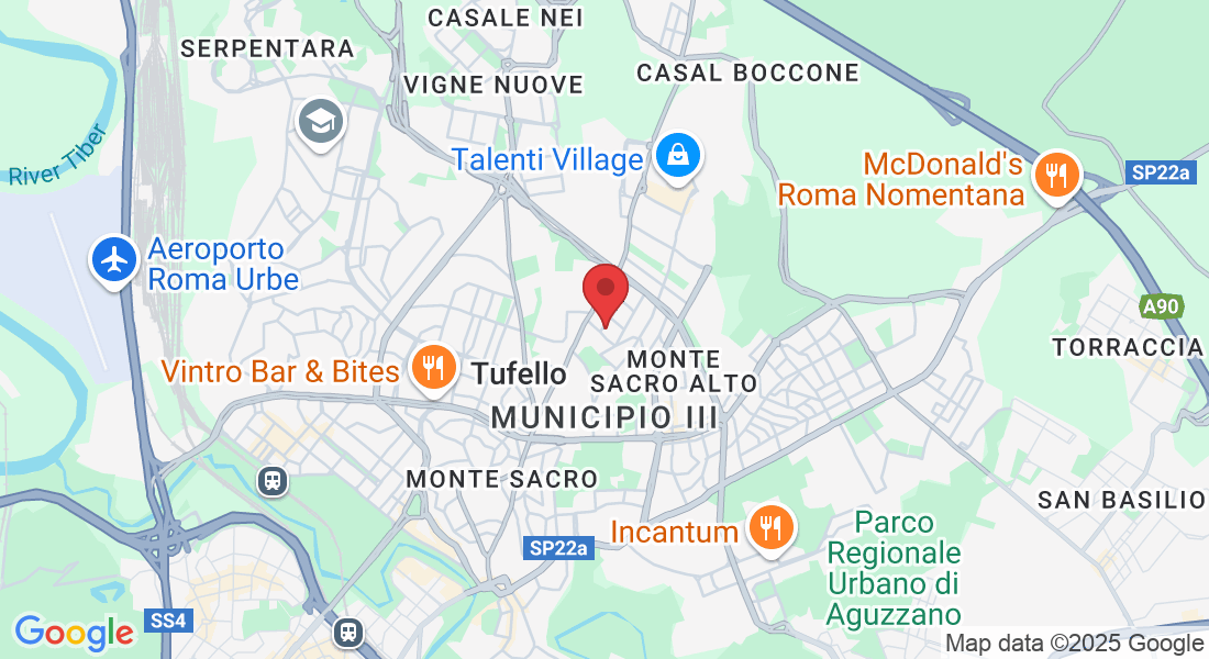 Via Alfredo Panzini, 4, 00137 Roma RM, Italy