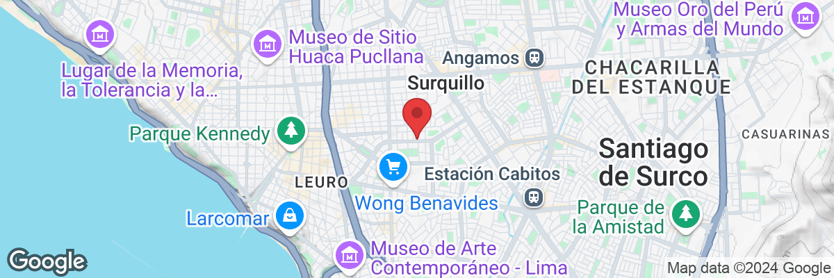 Av Roca y Boloña 681, Miraflores 15048, Peru