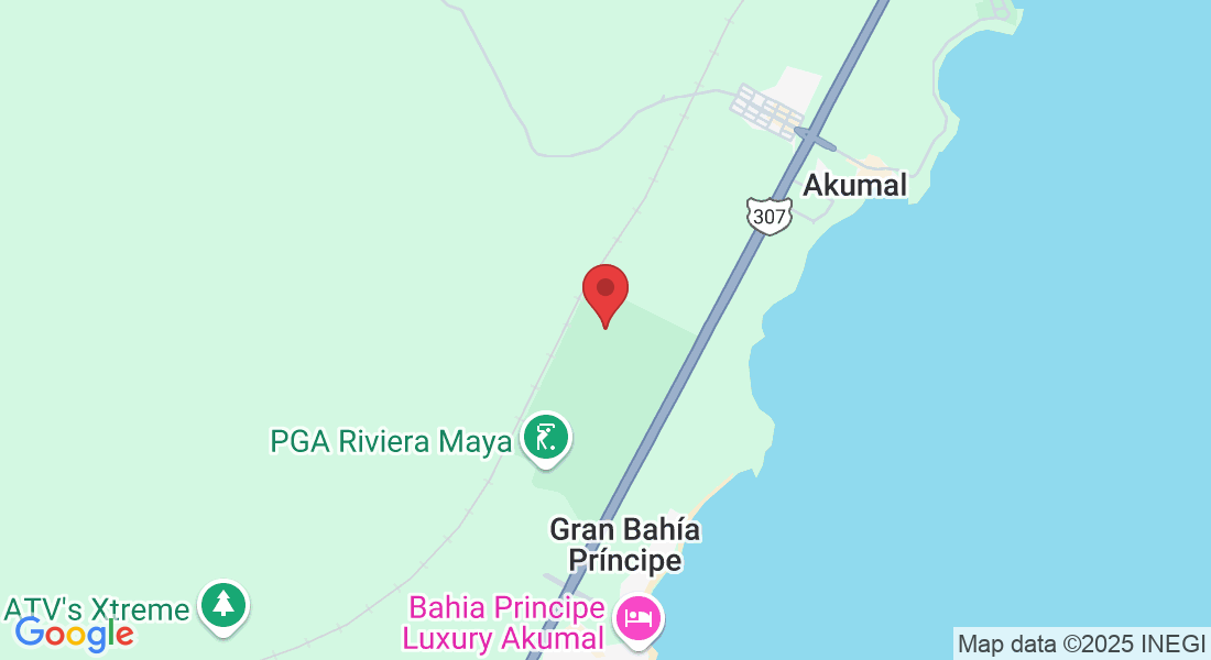 Unnamed Road, 77775 Gran Bahía Príncipe, Q.R., Mexico