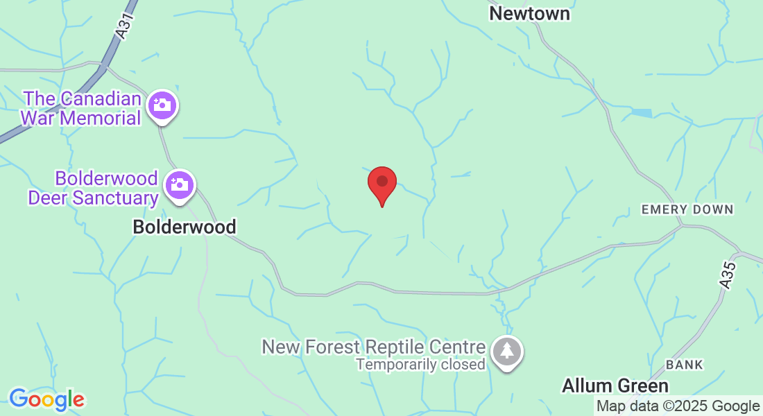 New Forest District, UK