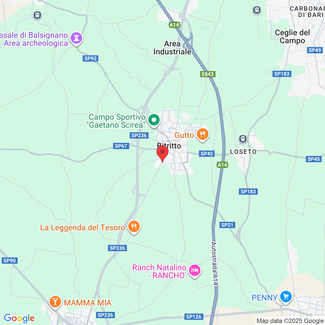 Via Giuseppe Mazzini, 79, 70020 Bitritto BA, Italia