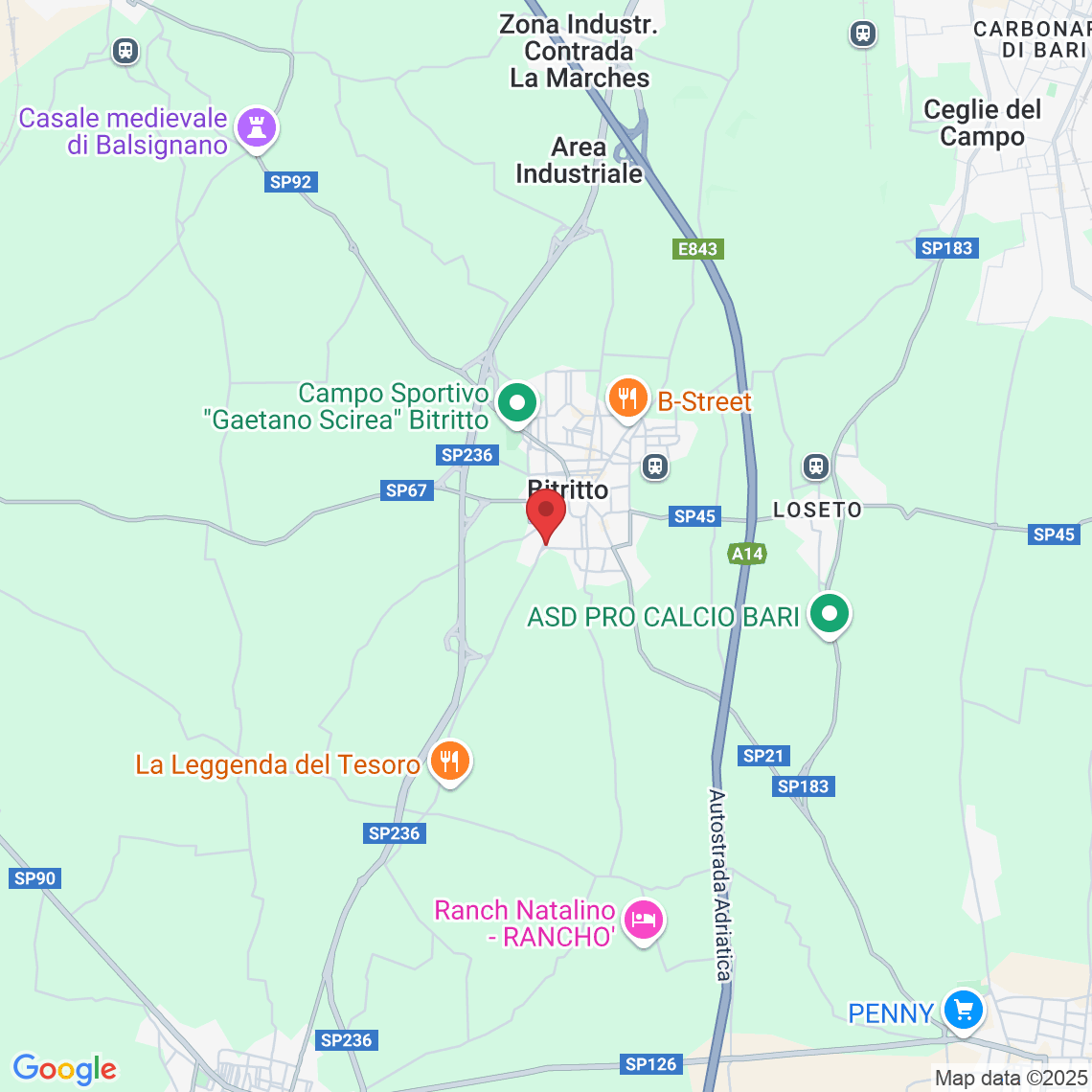 Via Giuseppe Mazzini, 79, 70020 Bitritto BA, Italia