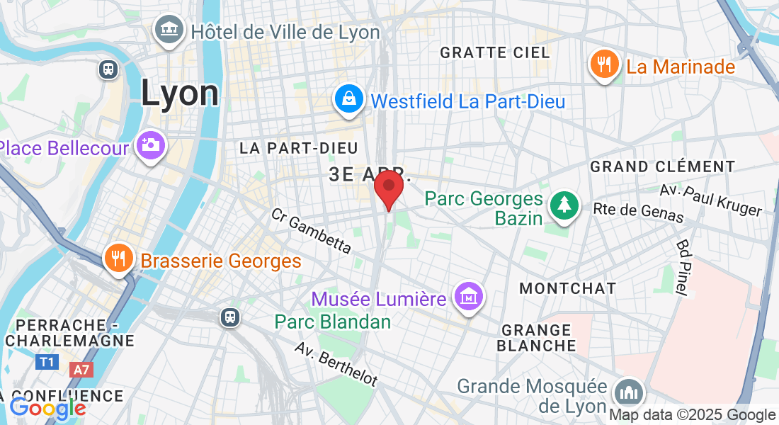 Av. Félix Faure, Lyon, France