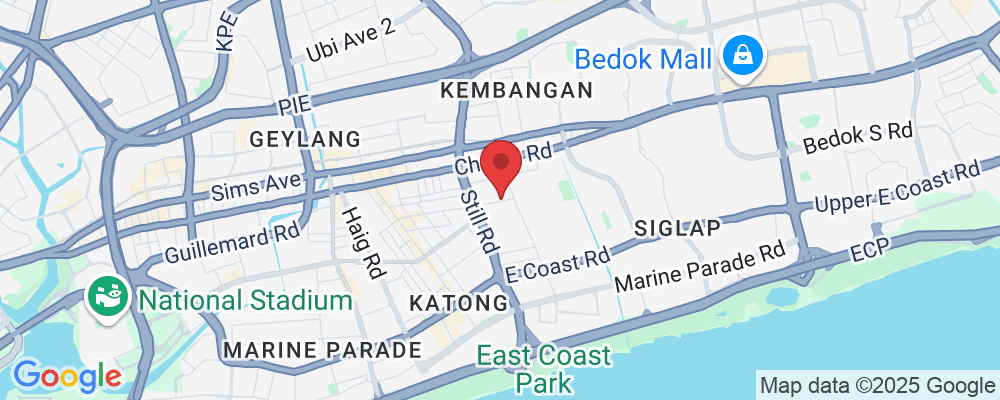 303 Joo Chiat Pl, Singapore 427983