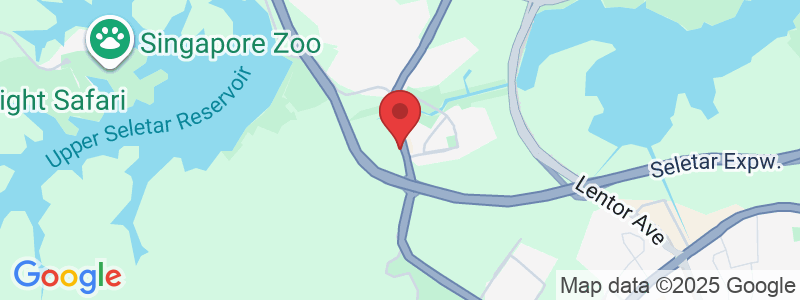 Upper Thomson Rd, Singapore 787140