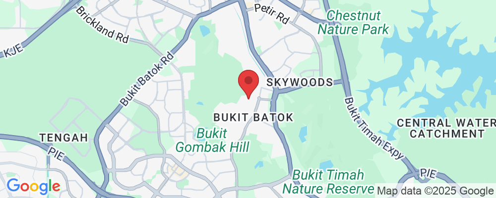 5 Hillview Rise, Singapore 669809