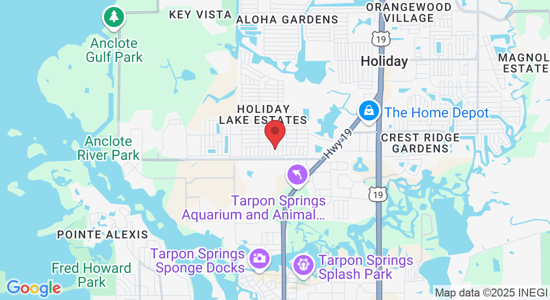 1042 Maybury Dr, Holiday, FL 34691, USA