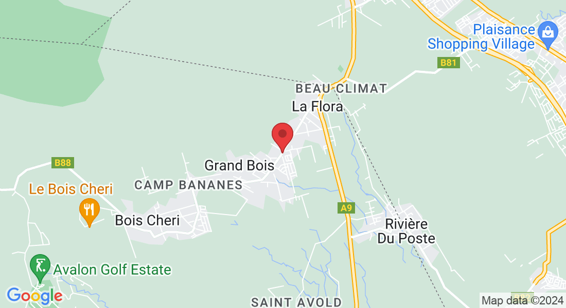 Royal Road, Grand Bois, Mauritius