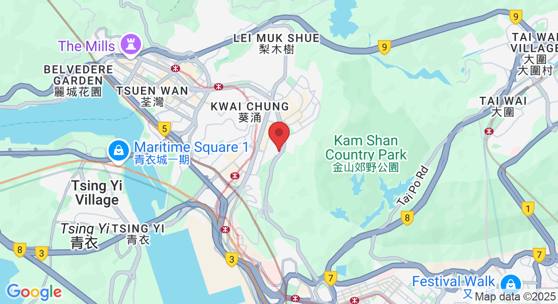 Hong Kong, Kwai Chung, Castle Peak Rd - Kwai Chung, 葵涌段313號