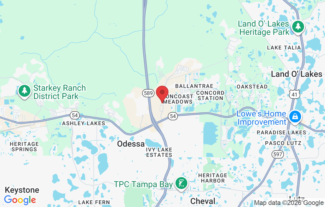 16703 Early Riser Ave #524, Land O' Lakes, FL 34638, USA