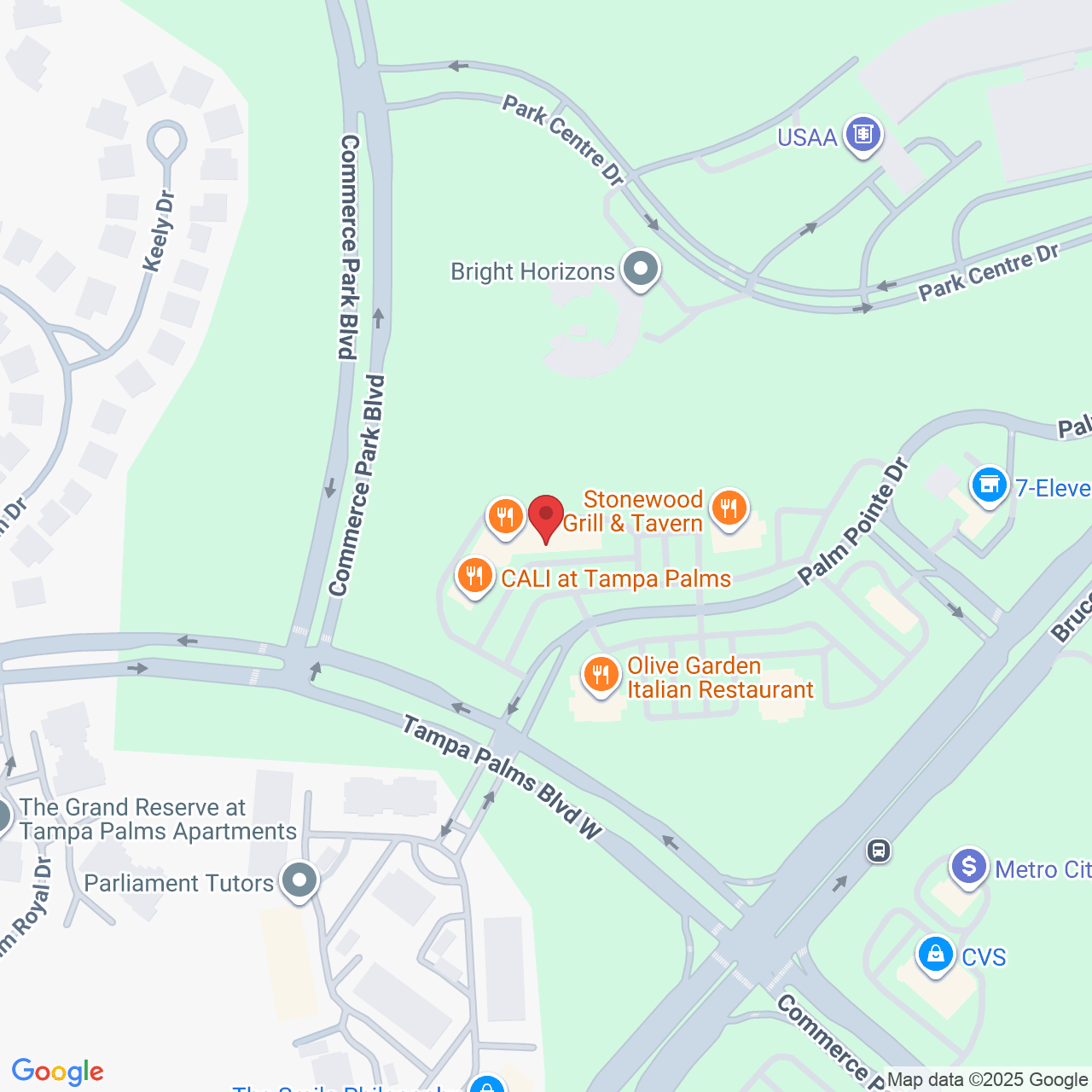 17024 Palm Pointe Dr, Tampa, FL 33647, USA