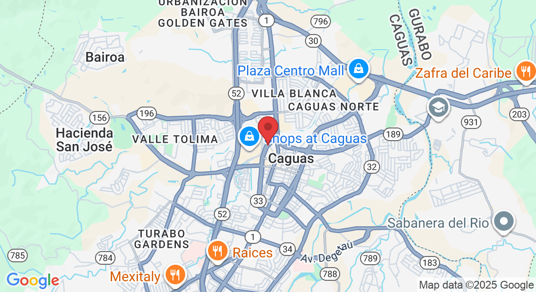 Calle Tapia, Caguas, 00725, Puerto Rico