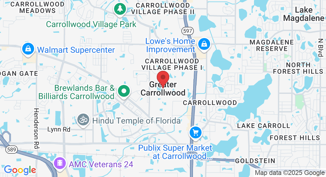 Greater Carrollwood, FL, USA